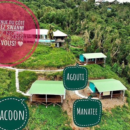Du Cote De Chez Swann Villa Deshaies Ngoại thất bức ảnh